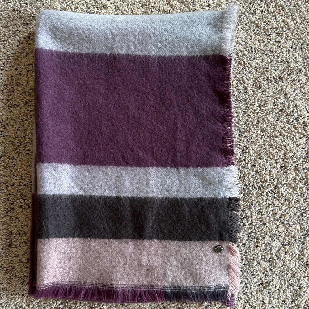 Express Striped Blanket Scarf